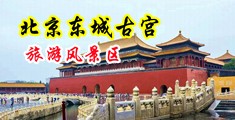 插b黑丝中国北京-东城古宫旅游风景区